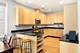 621 W Barry Unit 201, Chicago, IL 60657