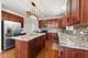 26500 Rustling Birch, Plainfield, IL 60585