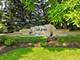 3316 Tall Grass, Naperville, IL 60564
