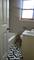 8815 S Albany, Evergreen Park, IL 60805