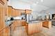 313 S Commonwealth, Elgin, IL 60123