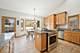 313 S Commonwealth, Elgin, IL 60123