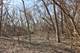 16149 Scenic, Wadsworth, IL 60083