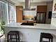 500 N Lake Shore Unit 1502, Chicago, IL 60611
