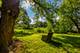 318 N Rose Farm, Woodstock, IL 60098