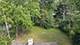 109 Walnut, Park Forest, IL 60466