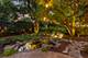 1563 Abbotsford, Naperville, IL 60563
