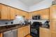 1134 W Granville Unit 816, Chicago, IL 60660