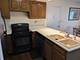 5529 E Lake Unit F, Lisle, IL 60532