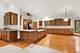 3061 Rosebrook, Westchester, IL 60154