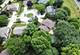 5 Swan, Bolingbrook, IL 60440
