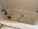 8114 S Anthony, Chicago, IL 60617