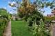 5709 W Ainslie, Chicago, IL 60630