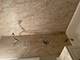 905 Austin Unit 1, Evanston, IL 60202