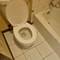 1214 E 165th, South Holland, IL 60473