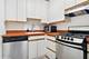 850 N Dewitt Unit 20F, Chicago, IL 60611