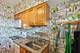 247 Washington Unit 3A, Oak Park, IL 60302