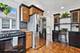 1728 Seward, Evanston, IL 60202