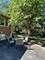 2277 S Westwood, Palatine, IL 60067