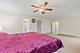 173 Hibiscus, Elgin, IL 60124