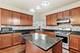 173 Hibiscus, Elgin, IL 60124
