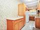 31 Bluff, La Grange, IL 60525