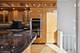 65 W Schiller, Chicago, IL 60610