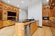 65 W Schiller, Chicago, IL 60610