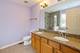 4253 Linden Tree, Glenview, IL 60026