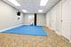 4253 Linden Tree, Glenview, IL 60026