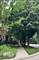 4253 Linden Tree, Glenview, IL 60026