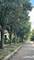 4253 Linden Tree, Glenview, IL 60026