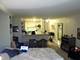 1660 N Lasalle Unit 1204, Chicago, IL 60614