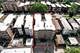 8018 S Eberhart, Chicago, IL 60619
