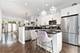 1058 W Fry, Chicago, IL 60642
