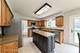 1289 Evergreen, Elgin, IL 60123