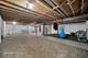 249 Gladiolus, Romeoville, IL 60446