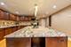 2012 W Coulter, Chicago, IL 60608