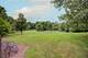712 Stonebridge, Frankfort, IL 60423