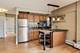4970 N Marine Unit 1024, Chicago, IL 60640