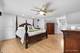 1131 Candlenut, Naperville, IL 60540