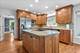 1131 Candlenut, Naperville, IL 60540