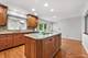 1131 Candlenut, Naperville, IL 60540
