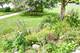 1317 Winslow, Woodstock, IL 60098
