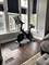 1537 N North Park Unit 2, Chicago, IL 60610