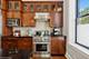 814 W Roscoe Unit 3E, Chicago, IL 60657