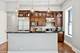 814 W Roscoe Unit 3E, Chicago, IL 60657