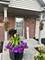 8310 Auburn, Frankfort, IL 60423