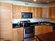 655 W Irving Park Unit 5304, Chicago, IL 60613