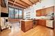 1727 S Indiana Unit 223, Chicago, IL 60616